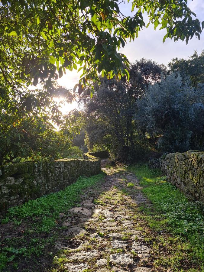 Quinta De Sao Pedro De Vir-A-Corca Em Monsanto Bed and Breakfast Eksteriør billede