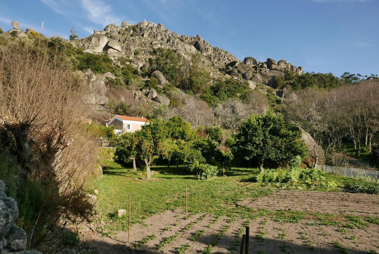 Quinta De Sao Pedro De Vir-A-Corca Em Monsanto Bed and Breakfast Eksteriør billede