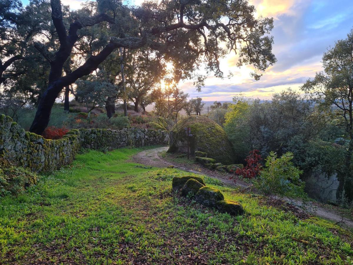 Quinta De Sao Pedro De Vir-A-Corca Em Monsanto Bed and Breakfast Eksteriør billede