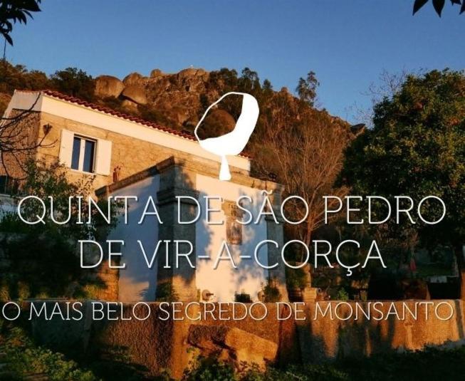 Quinta De Sao Pedro De Vir-A-Corca Em Monsanto Bed and Breakfast Eksteriør billede